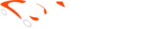 WordPress Blog